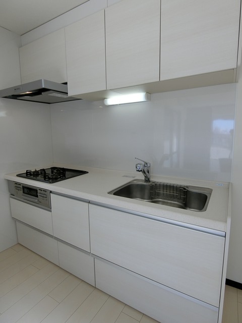 ��ʌ��������܎s������㗎���W���ڂ̃}���V�����̃L�b�`��