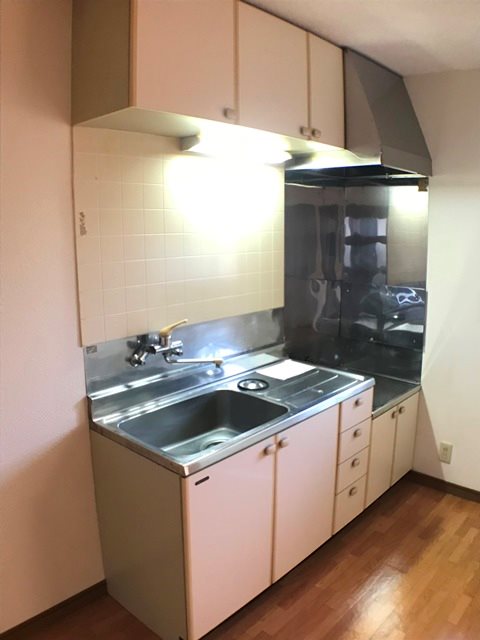 ��ʌ��������܎s��΋�钬�Q���ڂ̃A�p�[�g�̃L�b�`��