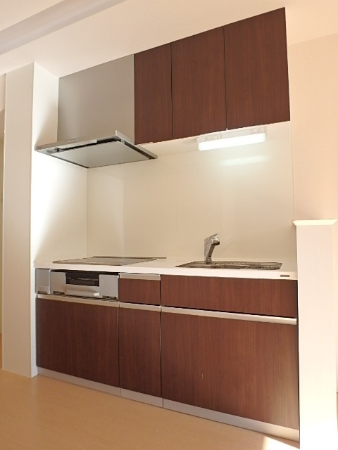 ��ʌ��������܎s�k��y�C���P���ڂ̃A�p�[�g�̃L�b�`��