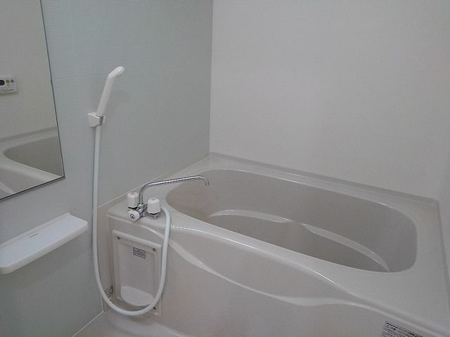 ��ʌ��z�J�s���z�J�S���ڂ̃A�p�[�g�̃o�X