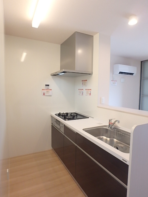 ��ʌ��������܎s������厚�ۃ���̃A�p�[�g�̃L�b�`��