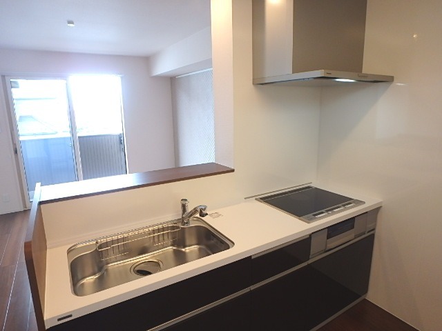 ��ʌ��������܎s����厚�w��̃A�p�[�g�̃L�b�`��