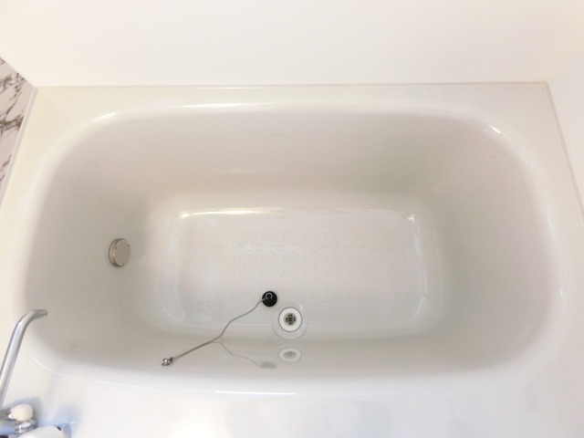 ��ʌ��������܎s�����擌��{�P���ڂ̃A�p�[�g�̃o�X