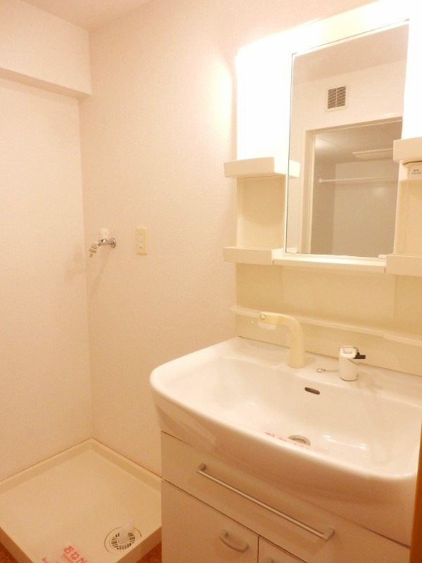 ��ʌ��z�J�s���z�J�U���ڂ̃}���V�����̐��ʏ�