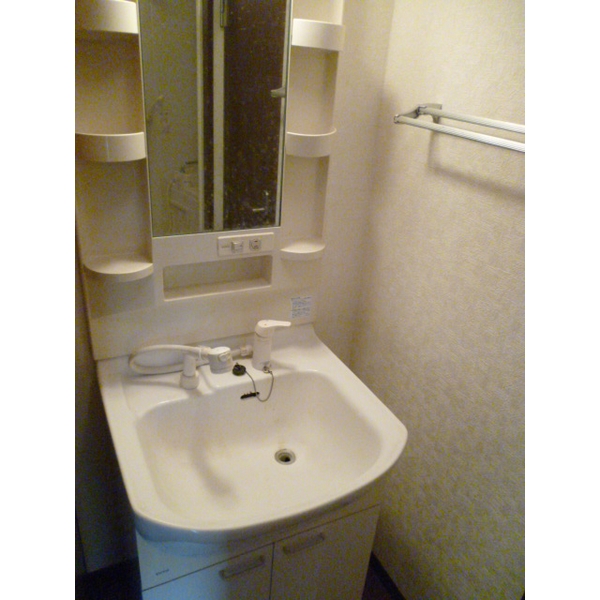 ��ʌ��z�J�s�����c���̃A�p�[�g�̐��ʏ�