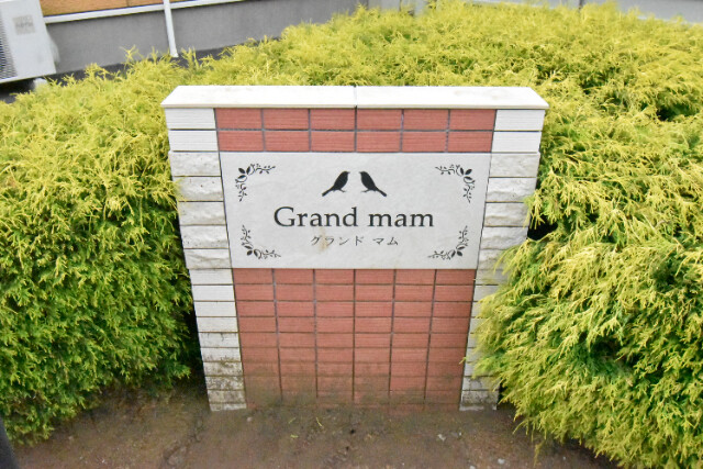 ��ʌ��������܎s�΋�厚���̃A�p�[�g�̎���