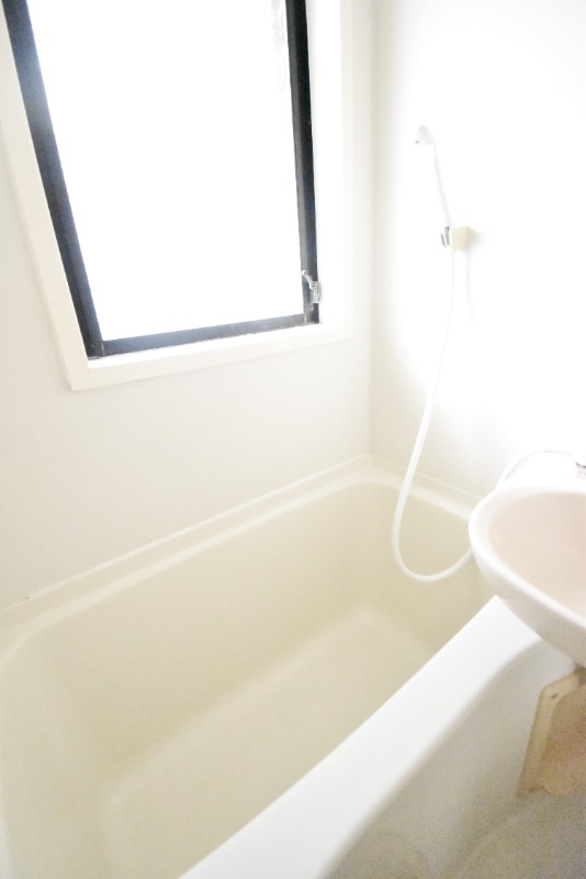 ��ʌ��������܎s��{�捂�@���P���ڂ̃}���V�����̃o�X