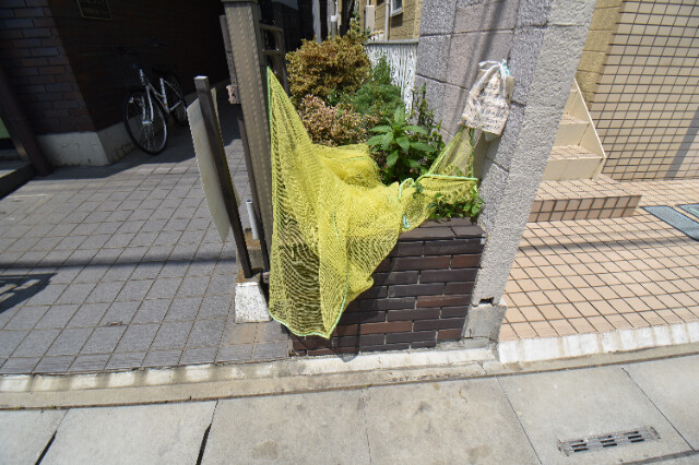 ��ʌ��������܎s�����擌��{�U���ڂ̃}���V�����̂��̑�