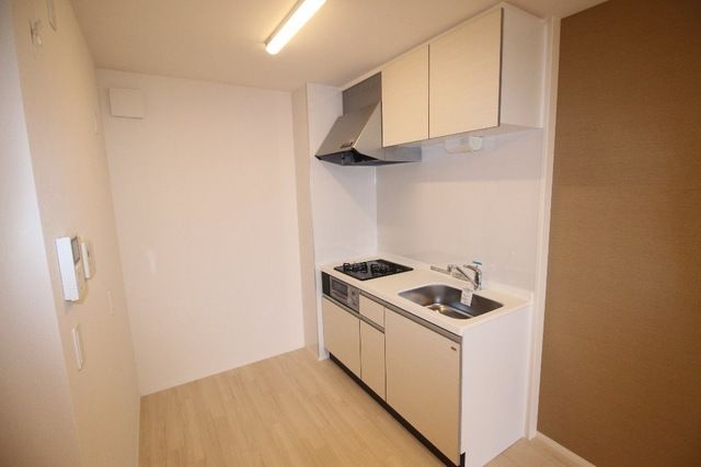 ��ʌ��z�J�s���C�N�^�E���U���ڂ̃A�p�[�g�̃L�b�`��