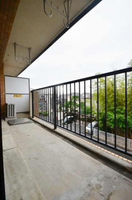 ��ʌ��������܎s����쌳�h�P���ڂ̃}���V�����̃o���R�j�[