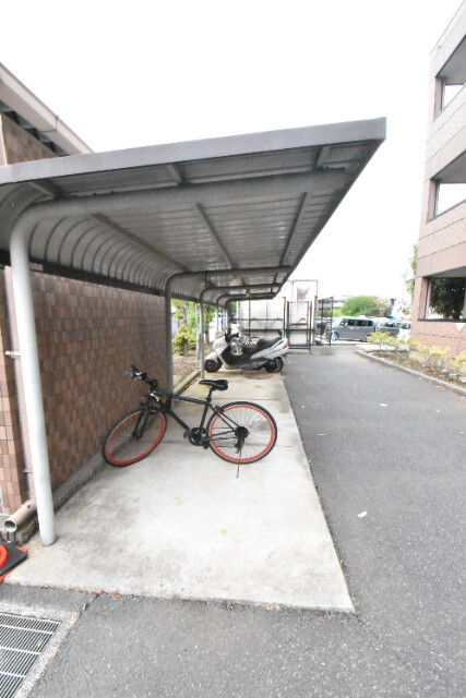 ��ʌ�����s�厚�����q��V�c�̃}���V�����̂��̑�