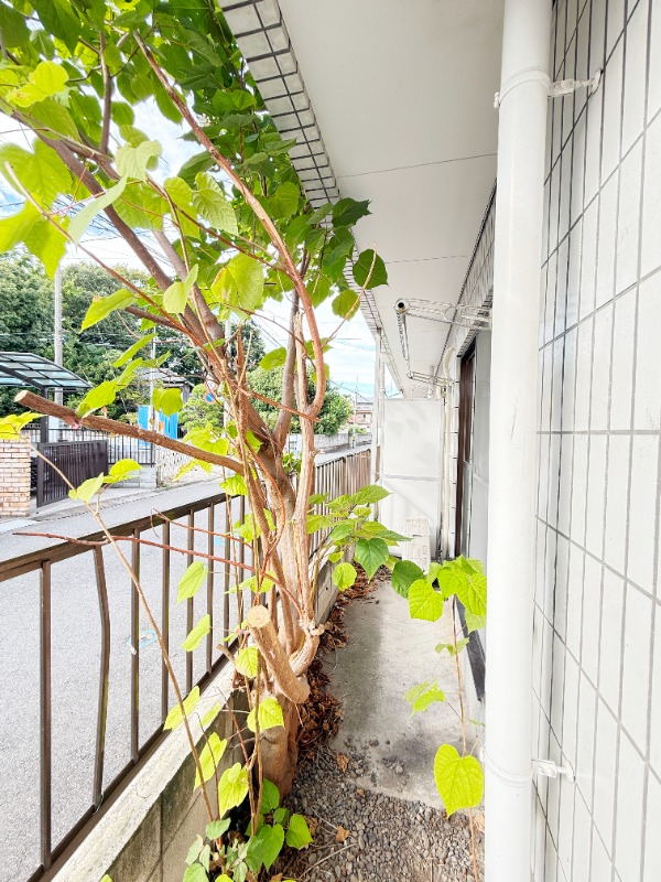 ��ʌ�����s�O��P���ڂ̃}���V�����̃o���R�j�[