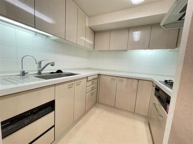 ��ʌ��������܎s������㗎���T���ڂ̃}���V�����̃L�b�`��