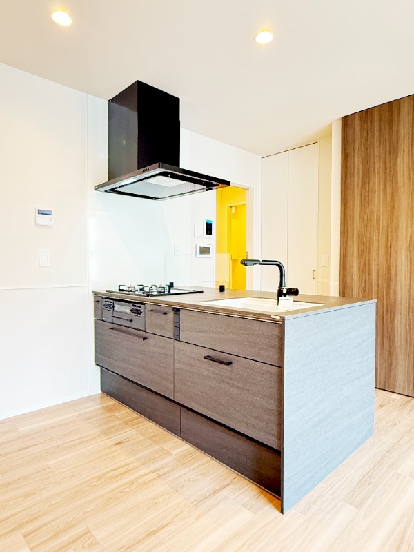 ��ʌ��z�J�s�厚��[�̃}���V�����̃L�b�`��