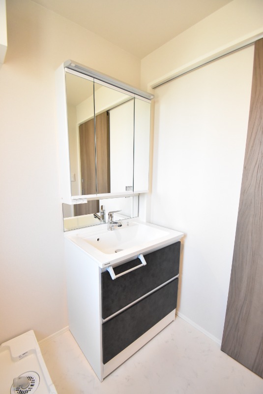 ��ʌ�����s�씵���J�S���ڂ̃}���V�����̐��ʏ�