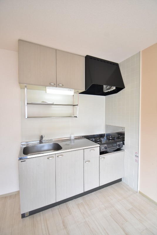 ��ʌ��������܎s����厚�w��̃A�p�[�g�̃L�b�`��