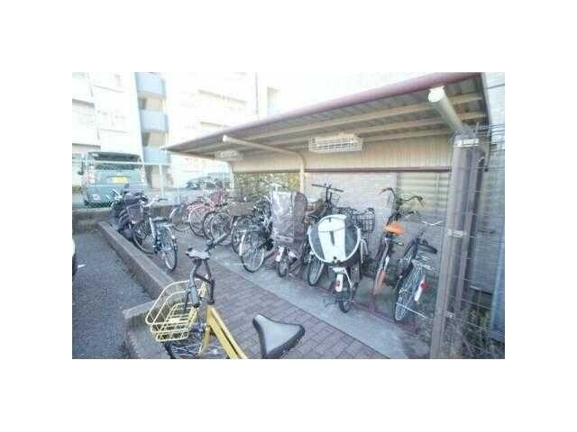 ��ʌ��������܎s������V�����S���ڂ̃}���V�����̂��̑�