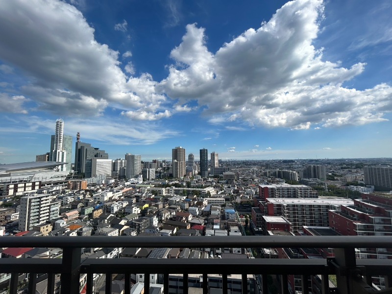 ��ʌ��������܎s������㗎���V���ڂ̃}���V�����̂��̑�