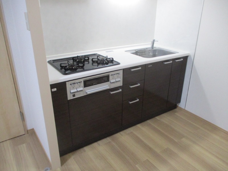 ��ʌ��������܎s��{��x�̓����P���ڂ̃}���V�����̃L�b�`��