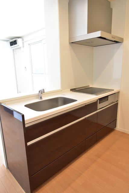 ��ʌ��������܎s�����扺�����S���ڂ̃A�p�[�g�̃L�b�`��