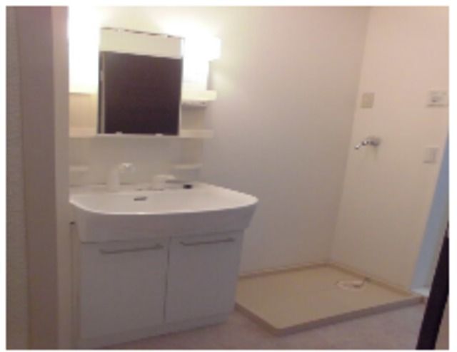 ��ʌ��z�J�s�V�z�J�P���ڂ̃A�p�[�g�̐��ʏ�