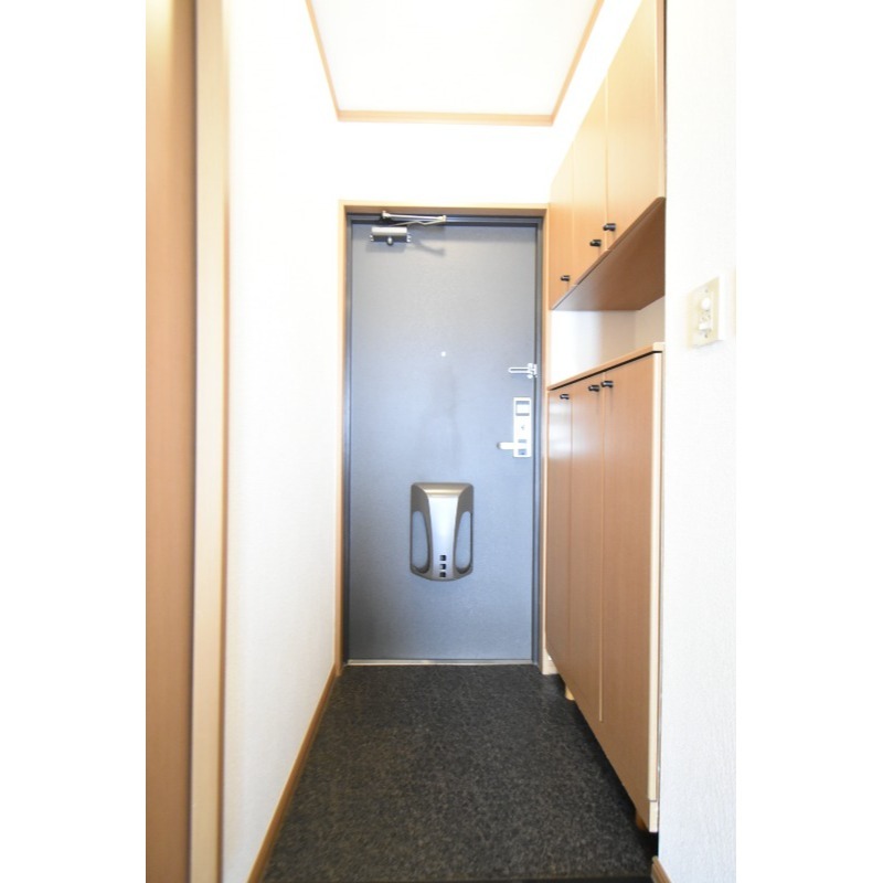 ��ʌ�����s�厚���s�����̃}���V�����̌���