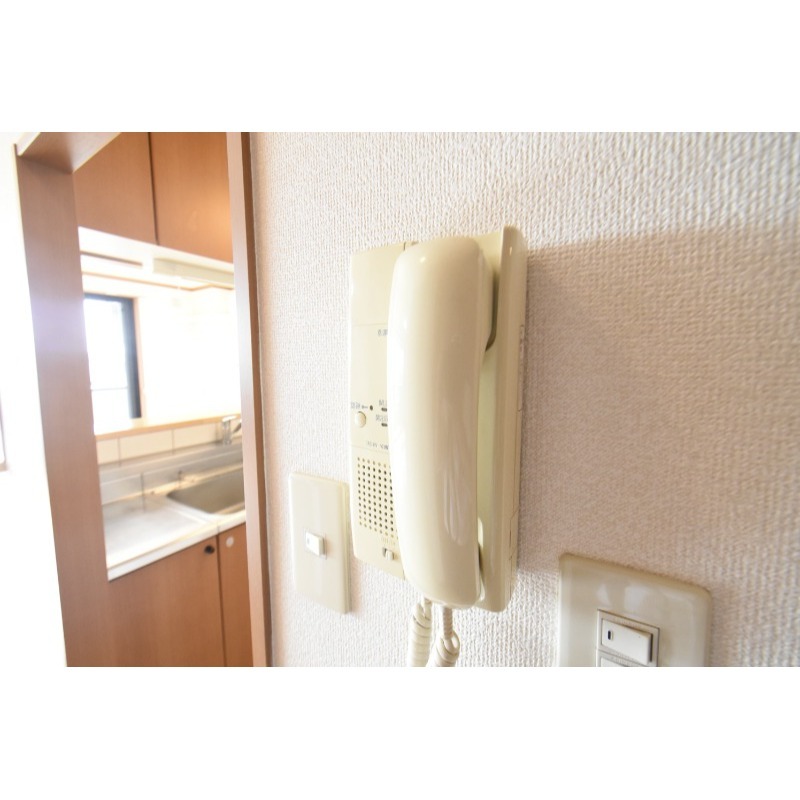 ��ʌ�����s�厚���s�����̃}���V�����̂��̑�