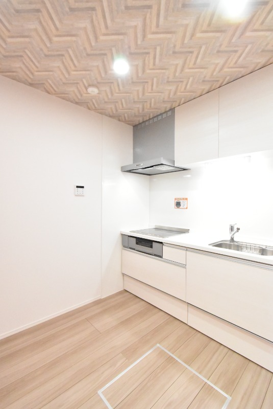 ��ʌ��z�J�s�����c���̃A�p�[�g�̃L�b�`��