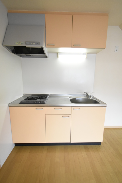 ��ʌ��������܎s��������P���ڂ̃A�p�[�g�̃L�b�`��