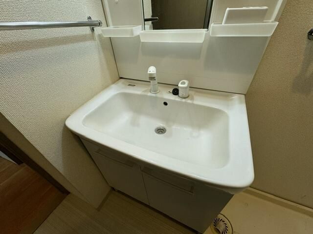 ��ʌ��z�J�s���������̃}���V�����̐��ʏ�