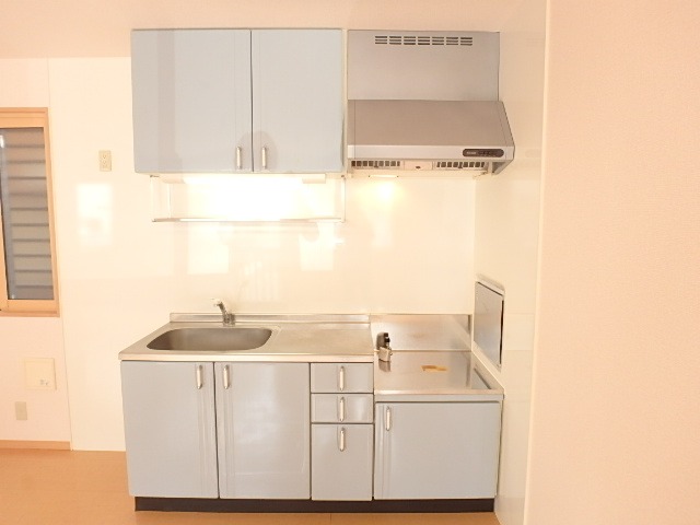 ��ʌ��������܎s�k�擌�听���Q���ڂ̃A�p�[�g�̃L�b�`��