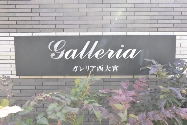 ��ʌ��������܎s����厚�w��̃A�p�[�g�̎���