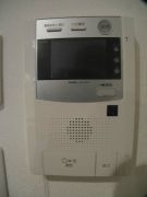 ��ʌ�����s�{���P���ڂ̃}���V�����̂��̑�