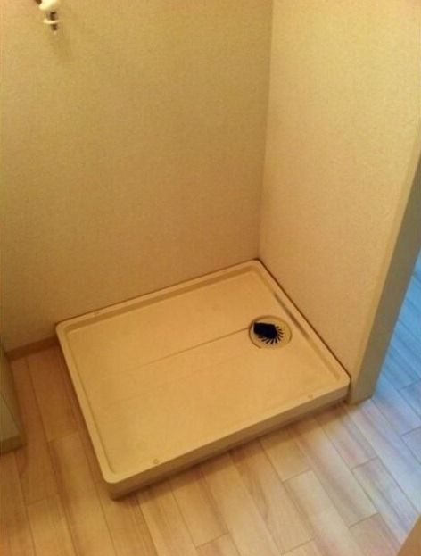 ��ʌ��������܎s�Y�a��̉ƂU���ڂ̃}���V�����̂��̑�