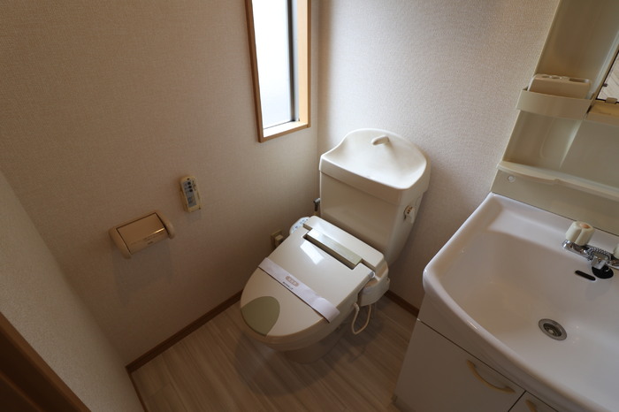 ��ʌ��������܎s�΋�厚�����̃e���X�n�E�X�̃g�C��