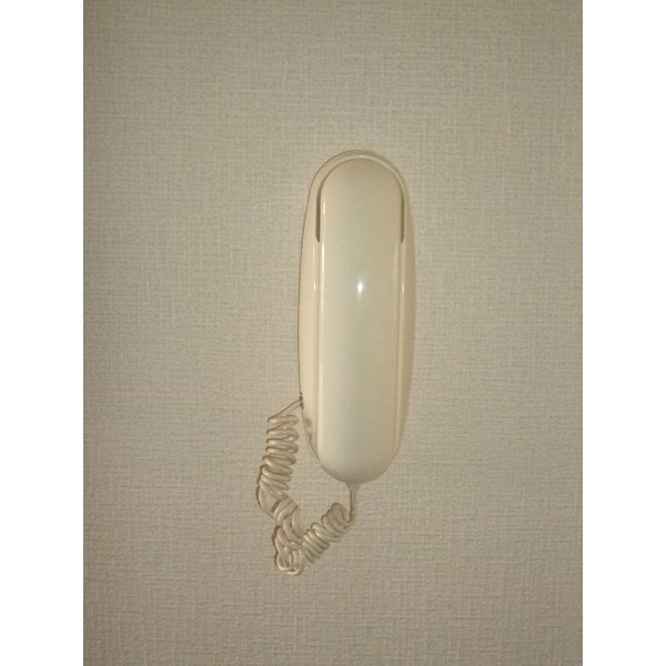 ��ʌ��z�J�s���z�J�W���ڂ̃A�p�[�g�̂��̑�