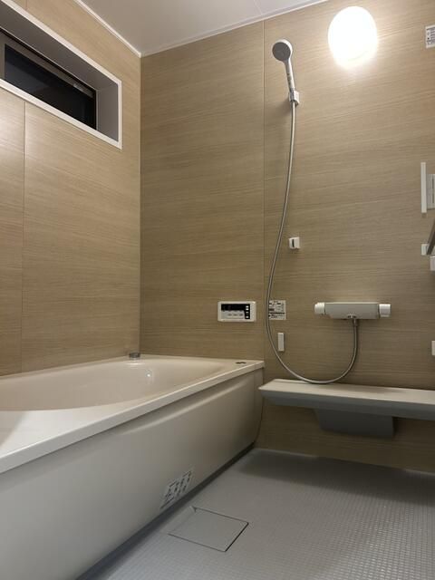 ��ʌ��@�c�s���V�h�U���ڂ̈�ˌ��Ẵo�X