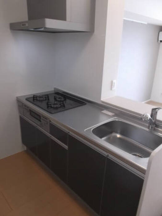 ��ʌ��z�J�s���C�N�^�E���V���ڂ̃A�p�[�g�̃L�b�`��