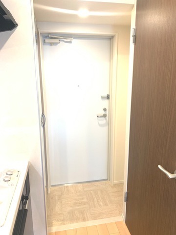 ��ʌ��z�J�s�퐶���̃}���V�����̌���