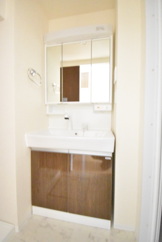 ��ʌ��z�J�s�퐶���̃}���V�����̐��ʏ�