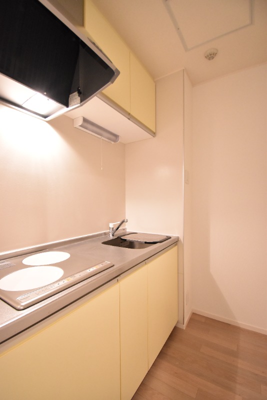 ��ʌ��������܎s�΋�厚����c�̃}���V�����̃L�b�`��