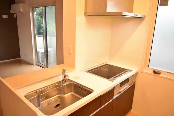 ��ʌ��������܎s������{�����S���ڂ̃A�p�[�g�̃L�b�`��